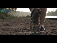 শেঞ্জেন সিকেডি প্রিসিশন মেকানিক্যাল অ্যান্ড ইলেকট্রিক্যাল কোং লিমিটেড